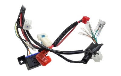 19216_4.jpg