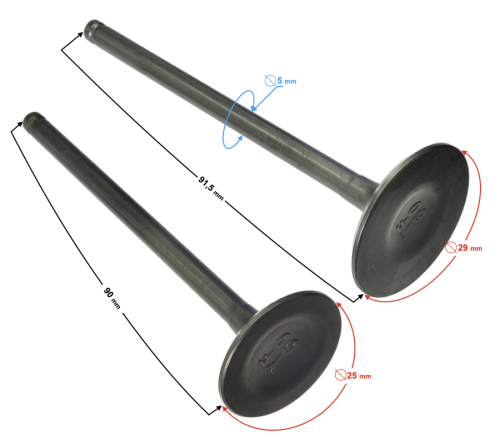 zawo-01305aa.001.png