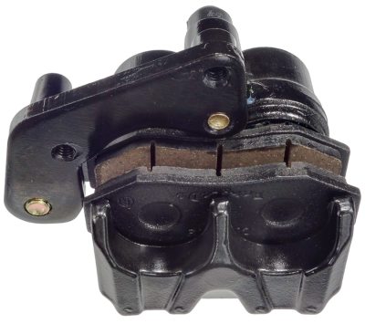 zaci-15005b.png