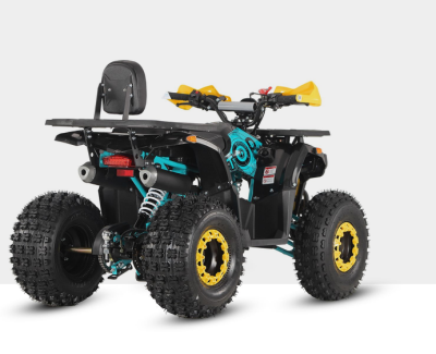 raptor 125 2.PNG