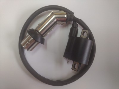 Cewka zapłonowa ATV 250 STXE