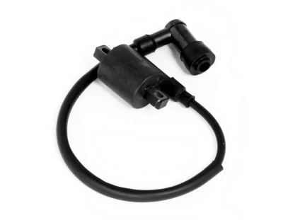 Cewka zapłonowa  4T Router WS50